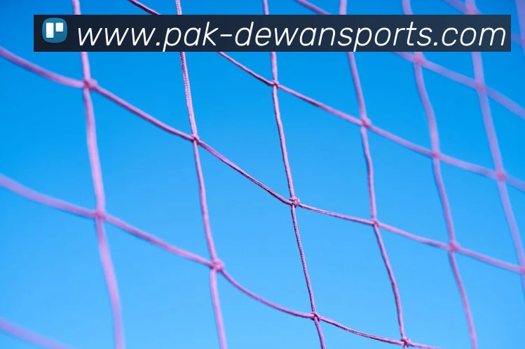 体育下注服务体系